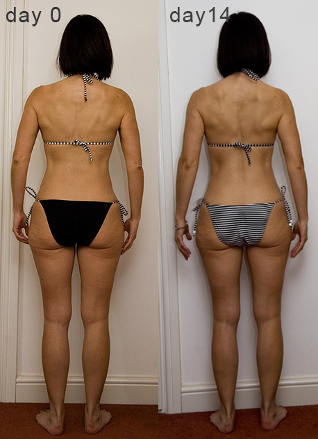 day0day14back