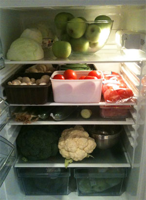 fridge